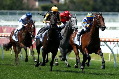 Adelaide Horse Racing