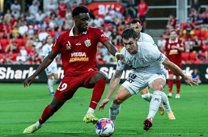 Adelaide Macarthur A-League