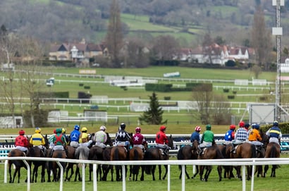 2026 Albert Bartlett Novices' Hurdle Live Stream - Watch the Cheltenham Festival race online