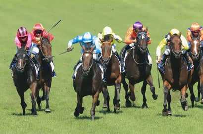 Albury tips - 26/05
