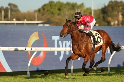 Albury tips for 20.03.2026