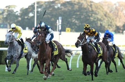 All Aged Stakes 2026 - Barrier Draw & Final Field
