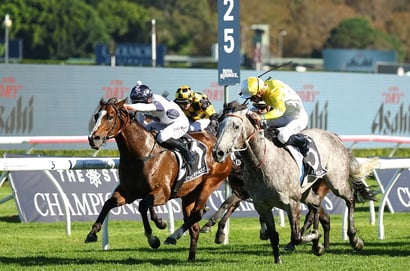 All Aged Stakes 2025 Betting Odds - Briasa shades Jimmysstar