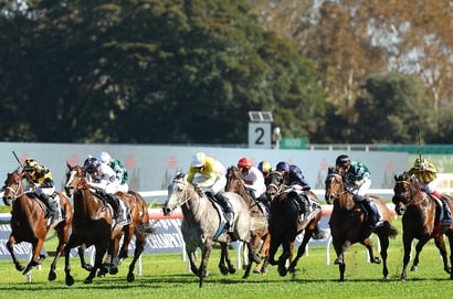 All Aged Stakes 2025 Betting Tips - Does Briasa run a strong 1400m?