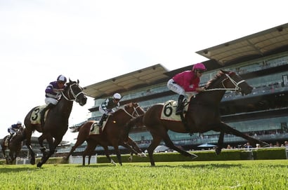 All Aged Stakes 2026 Betting Tips - Who Prevails in an Open Feature?