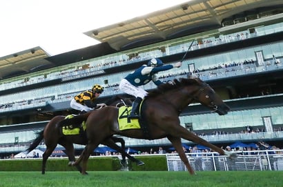 All Aged Stakes 2026 Betting Odds - Jimmysstar Remains Firm at the Top