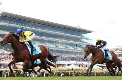 Apulia Flemington