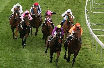 Ascot Tips for 01.02.2025