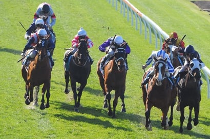 Ascot Tips for 01.03.2025