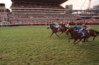 Ascot Tips for 03.05.2025