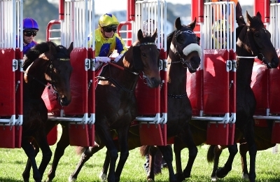 Ascot Tips for 12.10.2022