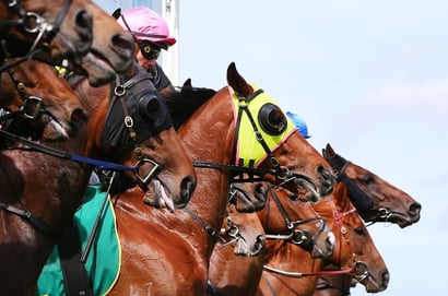 Ascot Tips for 22.02.2025