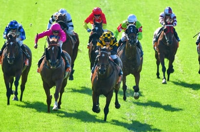 Ascot Tips for 30.01.2025