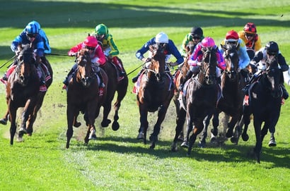 Ascot tips for 01.11.2025