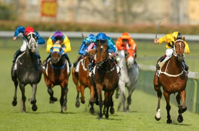 Ascot Betting Tips for December 6, 2025 - Race-By-Race preview for Northerly Stakes Day