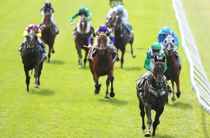 Ascot tips for 08.11.2025