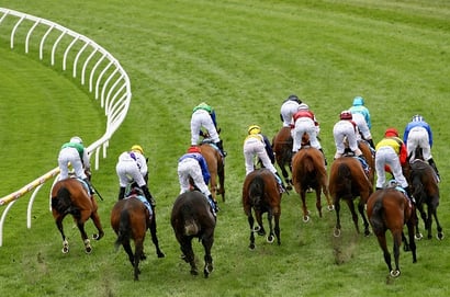 Ascot tips for 11.10.2025