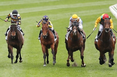 Ascot tips for 15.11.2025