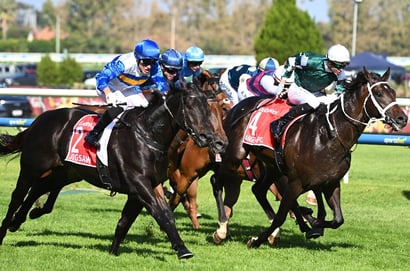 Ascot tips for 18.04.2026