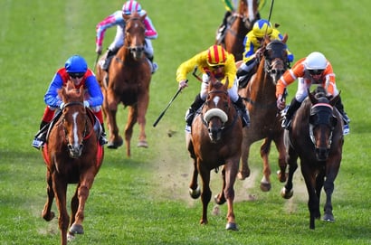 Ascot tips for 21.02.2026