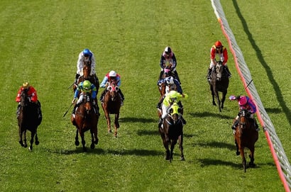 Ascot tips for 22.11.2025