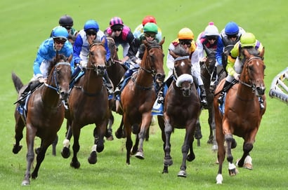Ascot tips for 25.10.2025