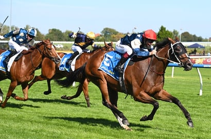 Australian Cup 2026 Betting Odds - Birdman Shades Tom Kitten and Pride Of Jenni