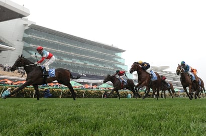 Australian Cup 2026 Betting Tips - Value with Leica Lucy & Sabaj