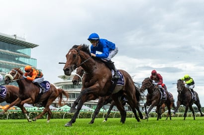 Australian Derby 2026 Betting Odds - Observer Prominent in Early Markets
