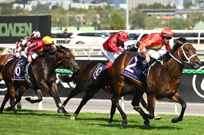 Aus Guineas Barriers