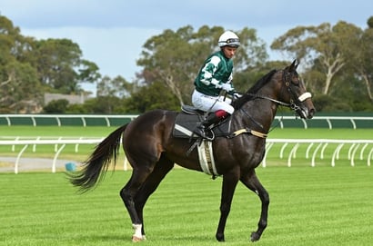 Australian Guineas 2025 Betting Odds - Four runners are in single figures