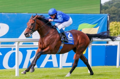 Aus Guineas Pedigrees