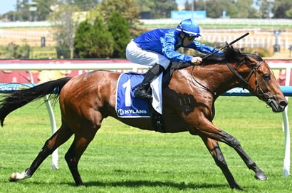 Australian Guineas 2026 Betting Odds - Observer Shades Sixties