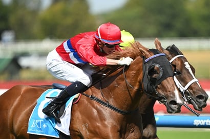 Australasian Oaks Tips