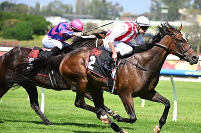 Australasian Oaks odds