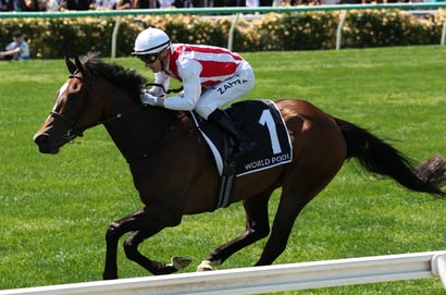 Australasian Oaks tips