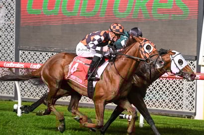 Australia Stakes 2025 Betting Tips - Class to shine with Southport