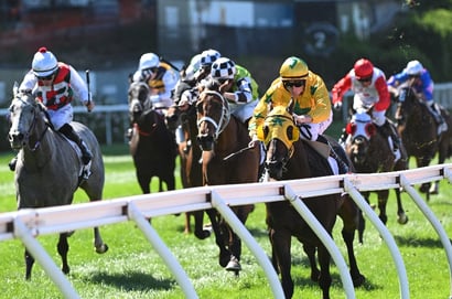 Australian Derby 2025 Betting Odds - Willydoit is favourite