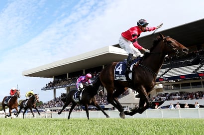 Australian Derby 2025 Betting Tips - Willydoit vs Aeliana