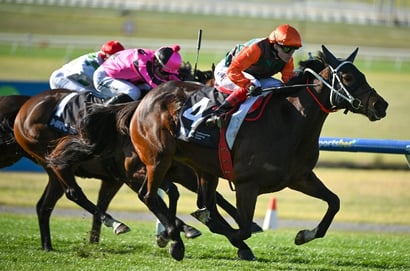 Australian Horse Racing