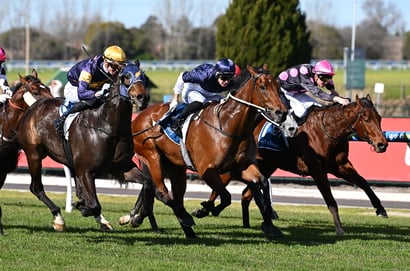 Australian Horse Racing
