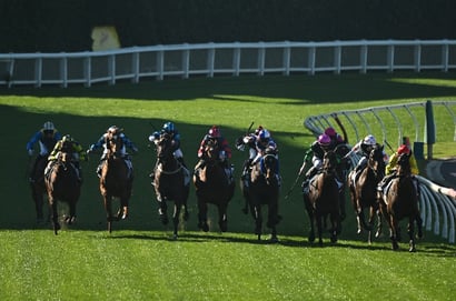 Belmont Racing Tips for August 13 - Riva Aquarama is weighted & gated to win