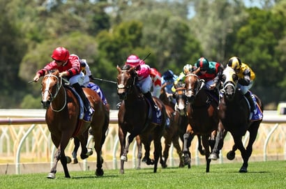 Bathurst Racing Tips for September 13 - Crusader Kings can go back-to-back
