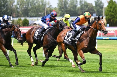 Australian Horse Racing