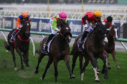 Australian Horse Racing
