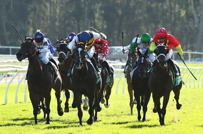 Australian Horse Racing