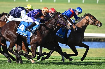 Australian Horse Racing