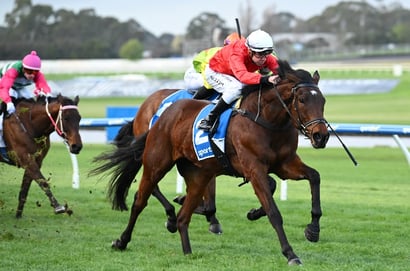 Australian Horse Racing