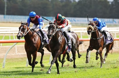 Ipswich Racing Tips for June 20 - Cindersea is weighted & gated to win
