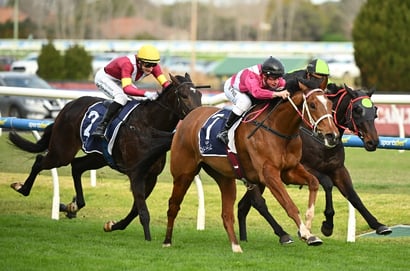 Australian Horse Racing